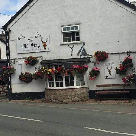 The Old Stag