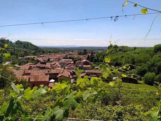Azienda Agricola Le Masche