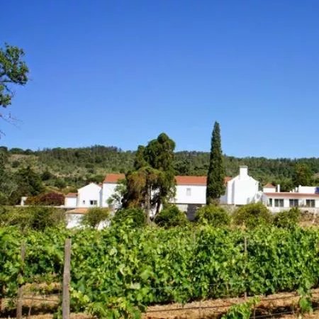 Quinta do Alcube