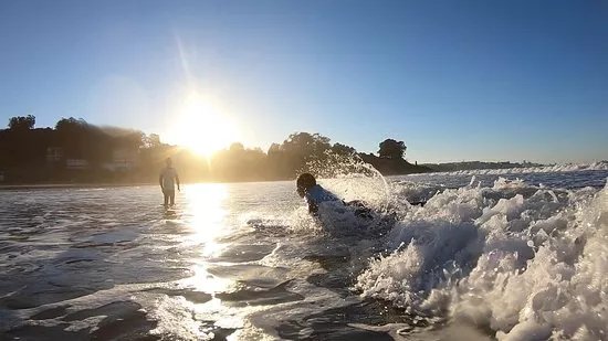 Galisurf