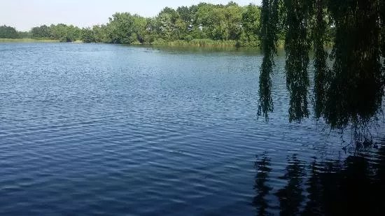 Winkelcentrum Roselaar