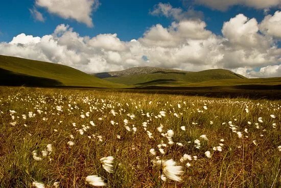 Wild Nephin National Park - Ballycroy Visitor Centre