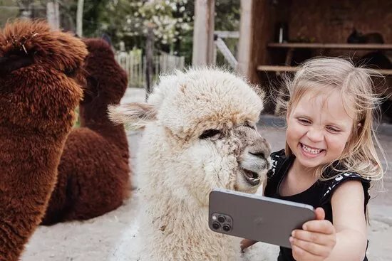 AlpaCasa