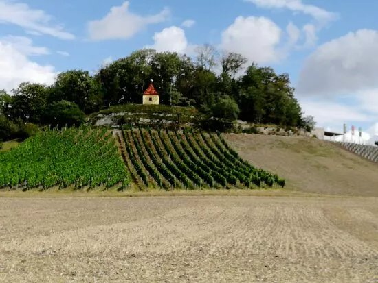 terroir f Markt Einersheim