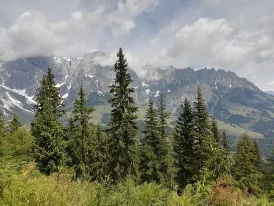 Karbachalm Kabinenbahn