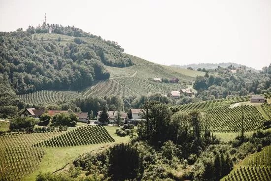 Weingut Lackner-Tinnacher