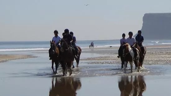 Saltburn Riding School