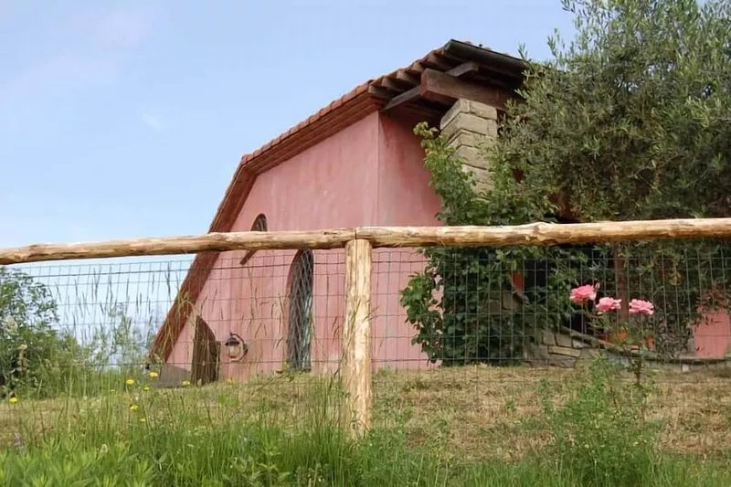 Bere Regis: Valdonica - farmhouse among olive groves and vineyards