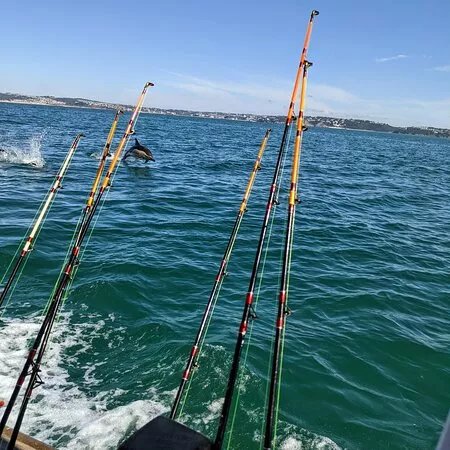 Funfish Trips