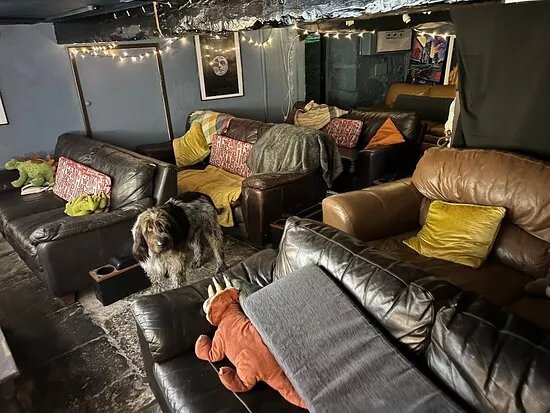 Shave Cross Inn: Under The Stars Cinema