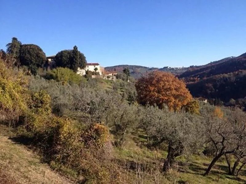 Farmhouse at 10 km from Florence (3)