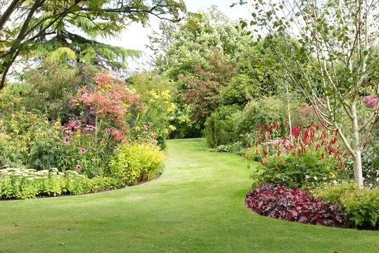 Bluebell Cottage Gardens