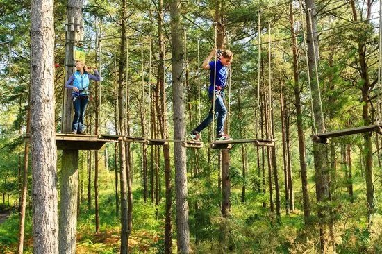 Go Ape Alice Holt