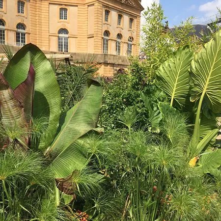 Jardin d'Ete