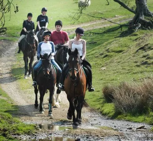 Springhill Farm Riding Stables