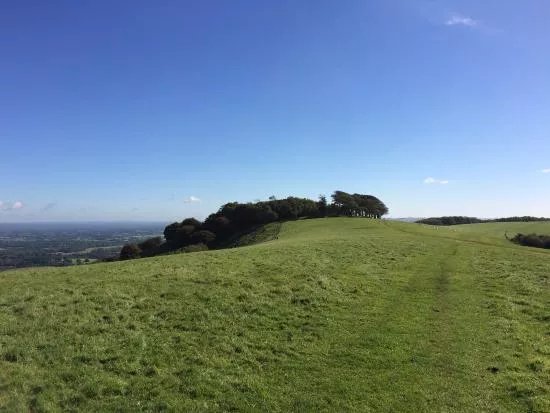 Chanctonbury Ring