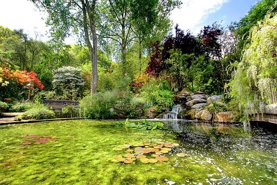 Pinetum Gardens