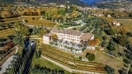 Ugolini Vini