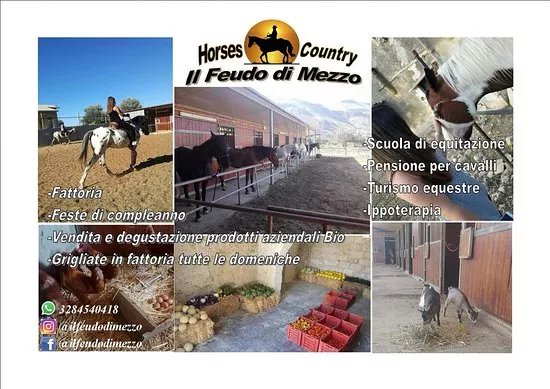 Azienda Agricola Bio Horses Country "Il Feudo Di Mezzo"