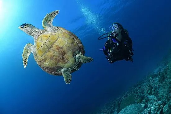 Poseidon Dive Centre