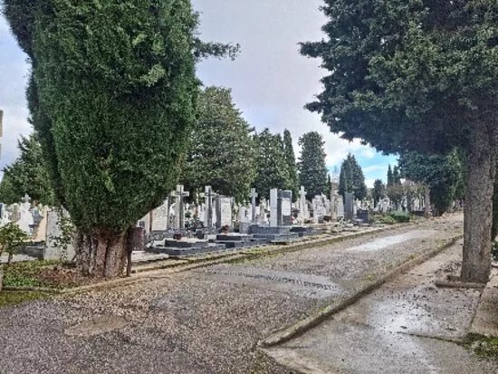 Cementerio Municipal San Jose