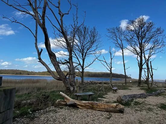 Covehithe Beach