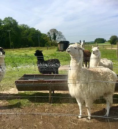 La Ferme Foraine Bonaventure