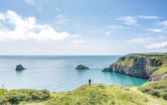 Berry Head National Nature Reserve