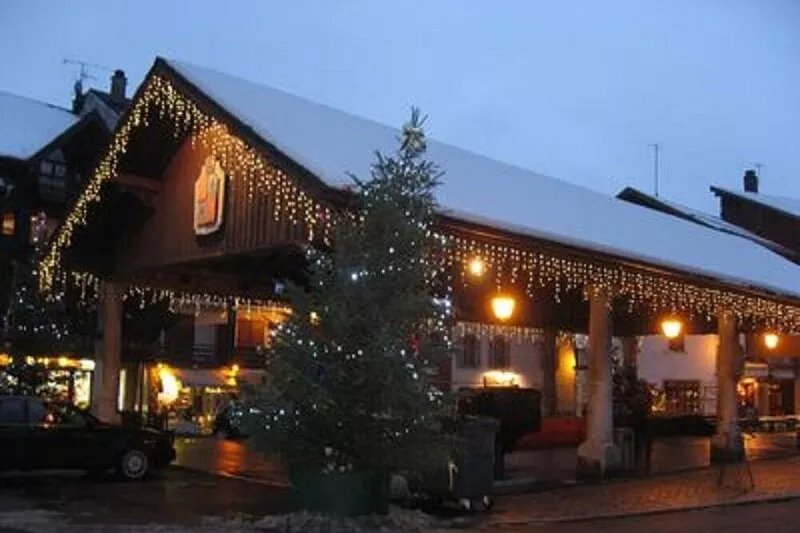 The "Gray Elk": comfortable chalet for 10 people with view