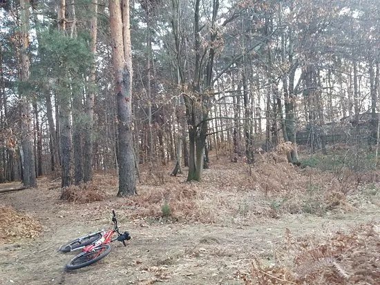 Riserva Naturale di Bosco Solivo