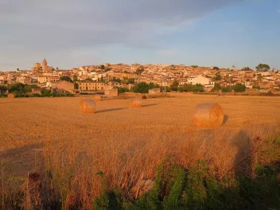 Moli D'en Nofre