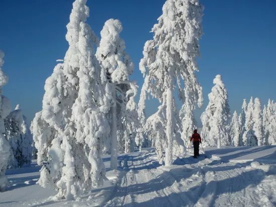 Tulikipina Artic Adventures