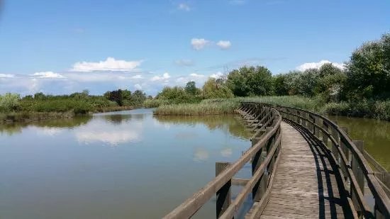 Riserva Valle Canal Novo