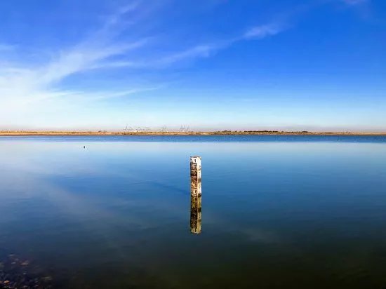 Cliffe Pools