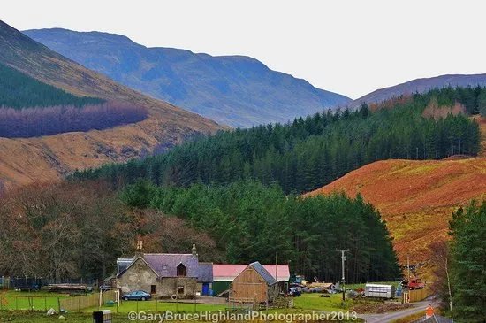 Invergordon Tours