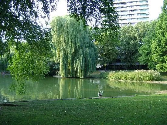 Stadtgarten
