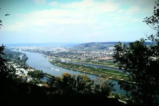 Burg Leopoldsberg