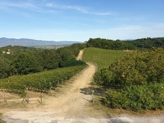 Tenuta Scrafana