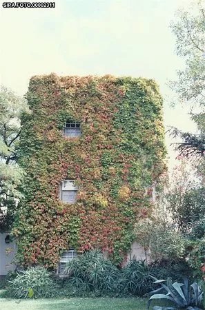 Castelo Velho de Degebe