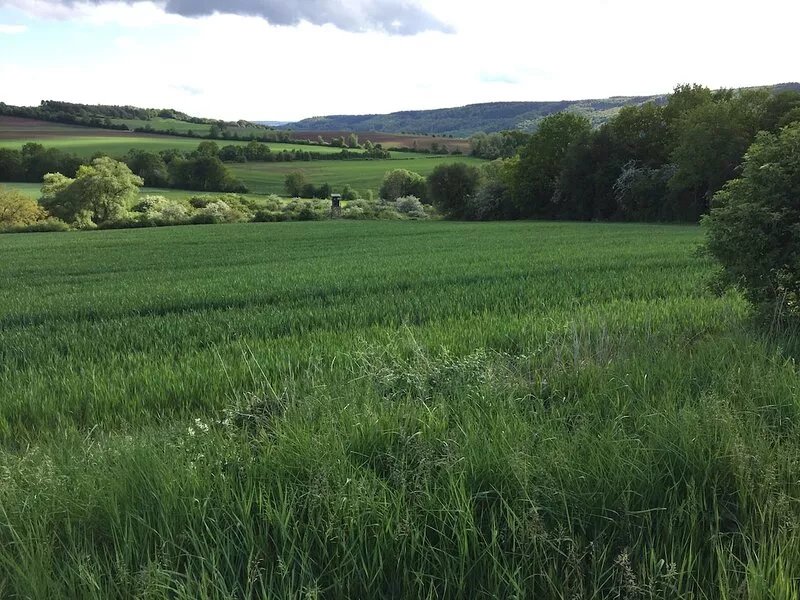 Welcome to Wolsfeld, a 1000 soul community in the South Eifel