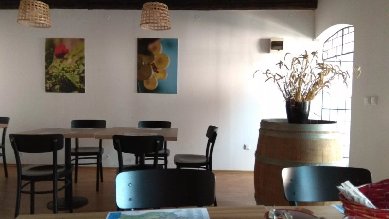 Villa Vinea Vinothek & Bistro