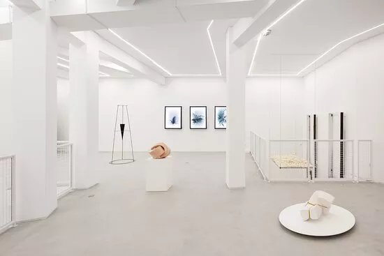 Galeria Foco