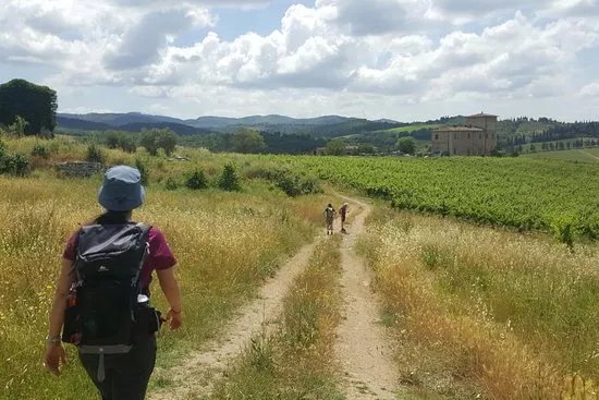 Vademecum Tours - Guided hiking in Tuscany