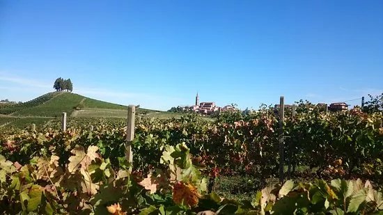 Cantina Hilberg Pasquero