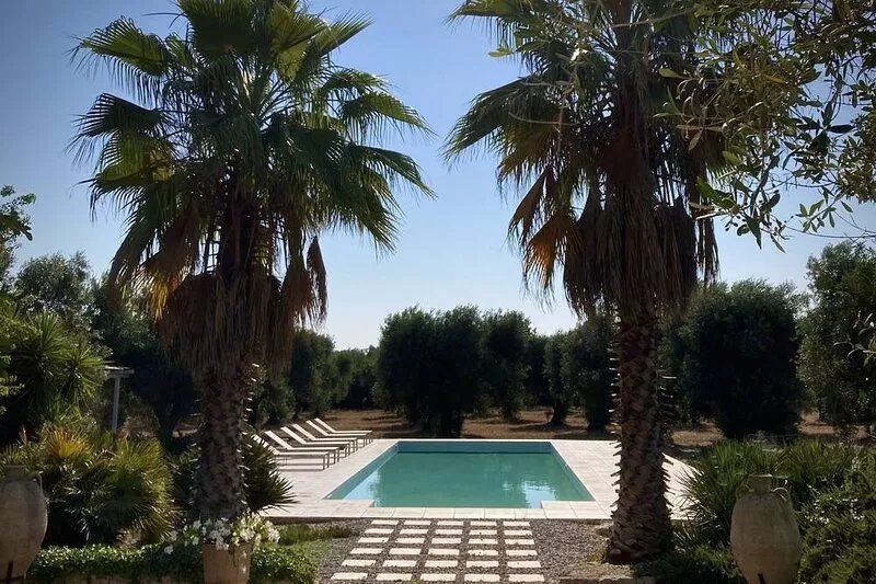 � Casale Dell’Oliveto a beautiful villa nestled in tranquil olive grove 15m