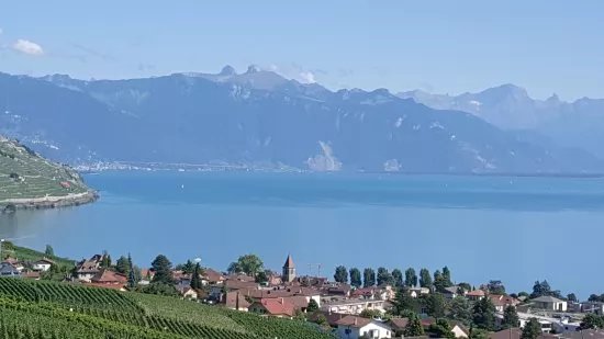 Cavau Corto