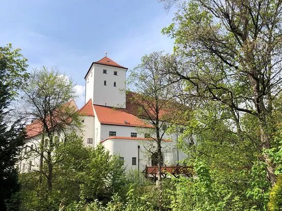 Museum im Wittelsbacher Schloss