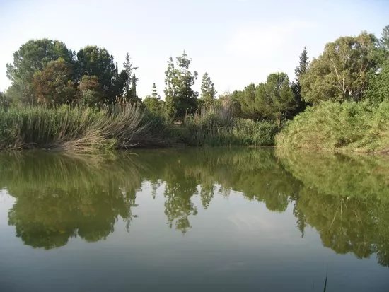Athalassa National Park