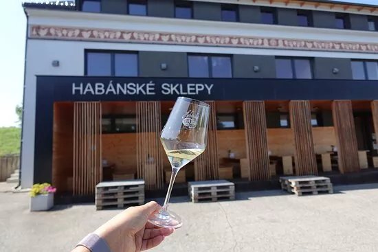 Habanske sklepy