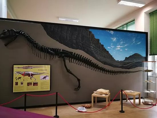 Museo di Scienze della Terra di Bari